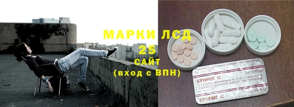 стаф Баксан