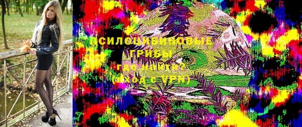 стаф Баксан