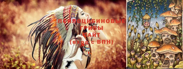 стаф Баксан