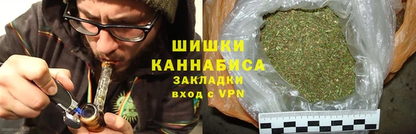 индика Белокуриха